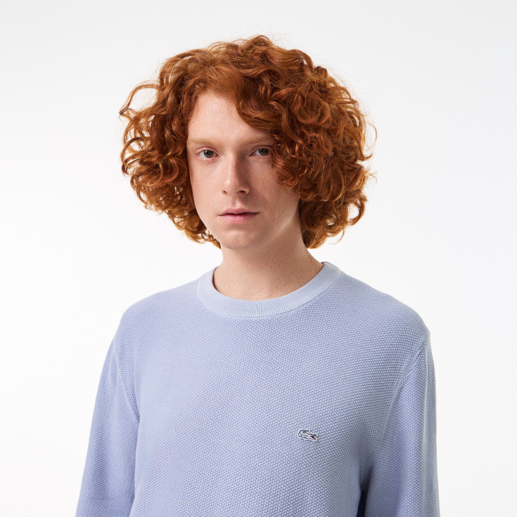 Мужской хлопковый свитер Lacoste Мужской хлопковый свитер Lacoste