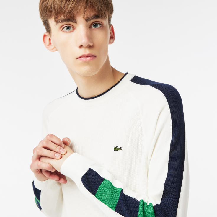 Мужской свитер Lacoste Regular Fit Мужской свитер Lacoste Regular Fit