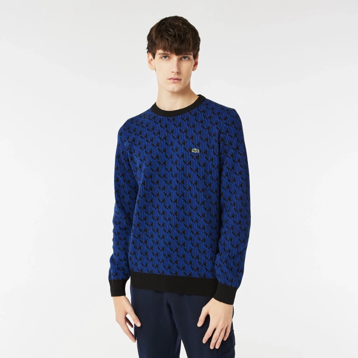 Мужской свитер Lacoste Relaxed Fit Мужской свитер Lacoste Relaxed Fit