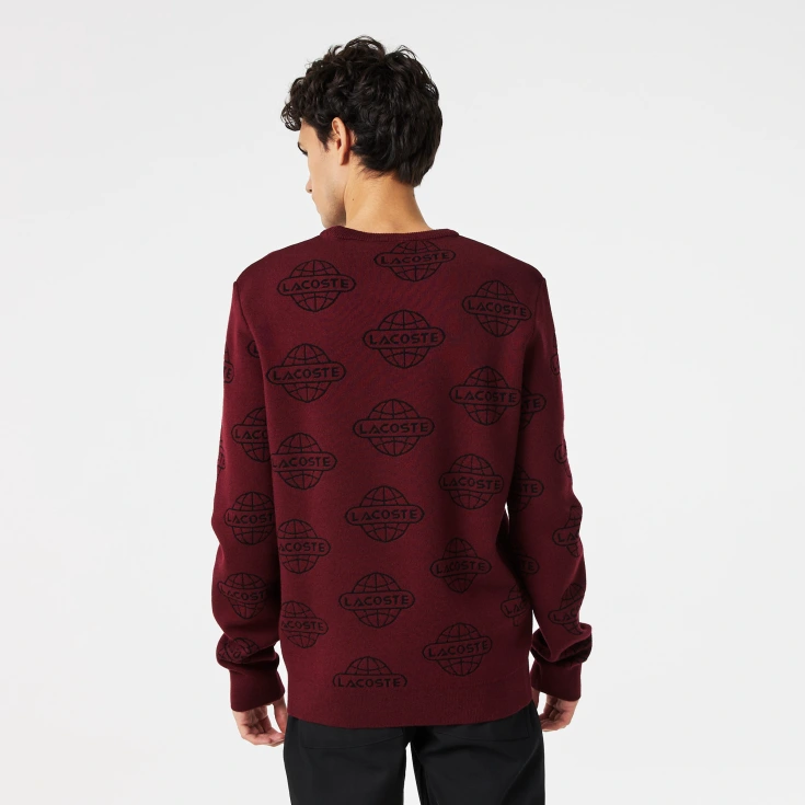 Мужской свитер Lacoste Regular Fit Мужской свитер Lacoste Regular Fit