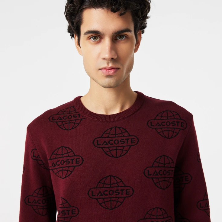 Мужской свитер Lacoste Regular Fit Мужской свитер Lacoste Regular Fit