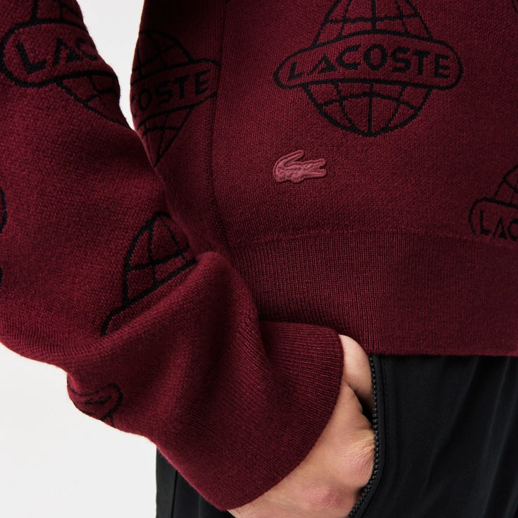 Мужской свитер Lacoste Regular Fit Мужской свитер Lacoste Regular Fit