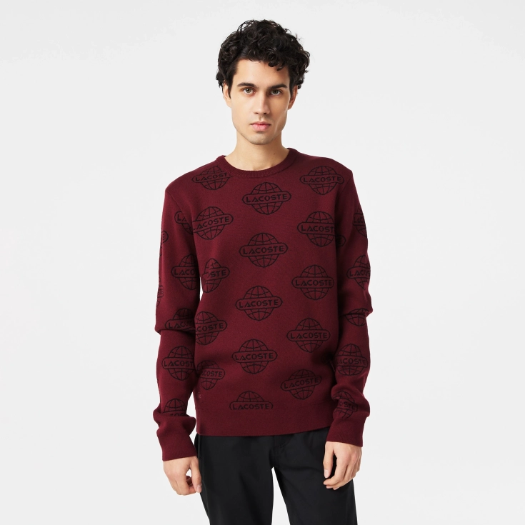 Мужской свитер Lacoste Regular Fit Мужской свитер Lacoste Regular Fit