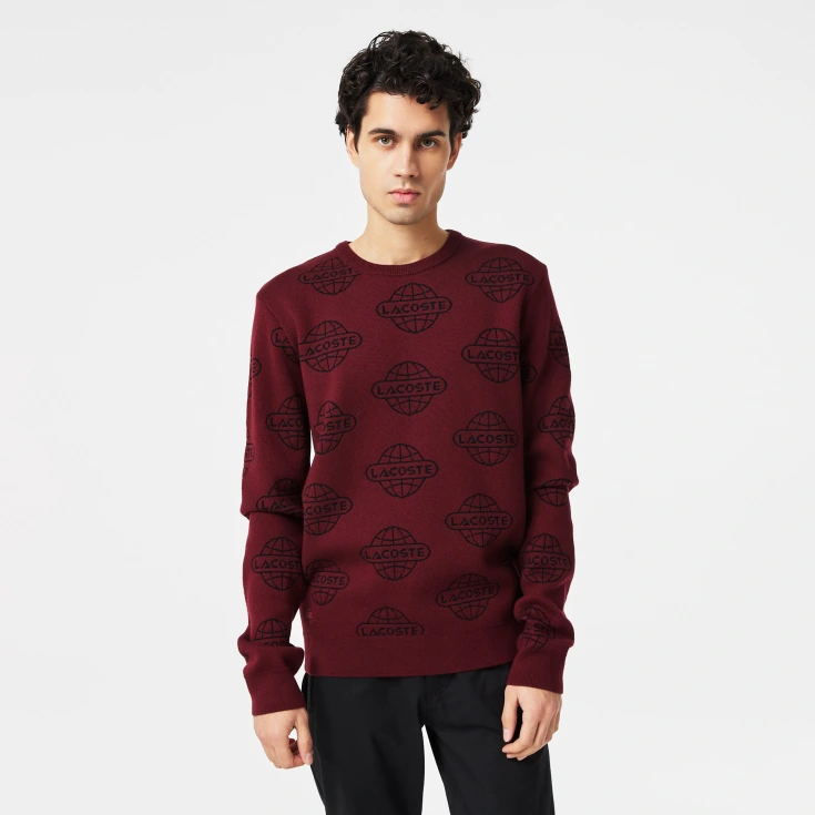 Мужской свитер Lacoste Regular Fit Мужской свитер Lacoste Regular Fit