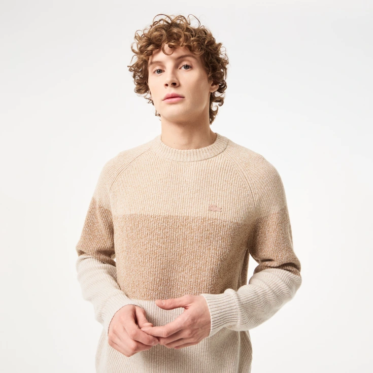 Мужской шерстяной свитер Lacoste в полоску Мужской шерстяной свитер Lacoste в полоску