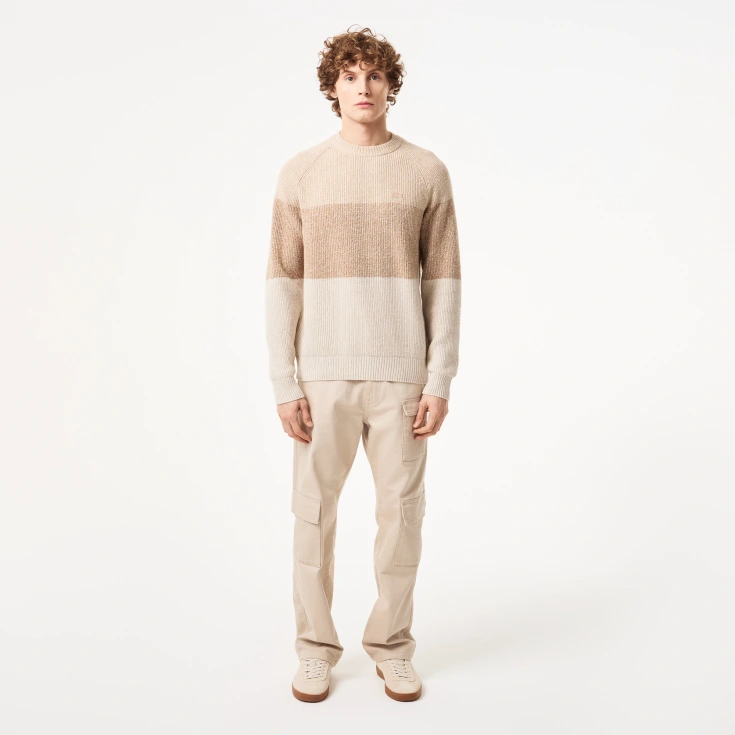 Мужской шерстяной свитер Lacoste в полоску Мужской шерстяной свитер Lacoste в полоску