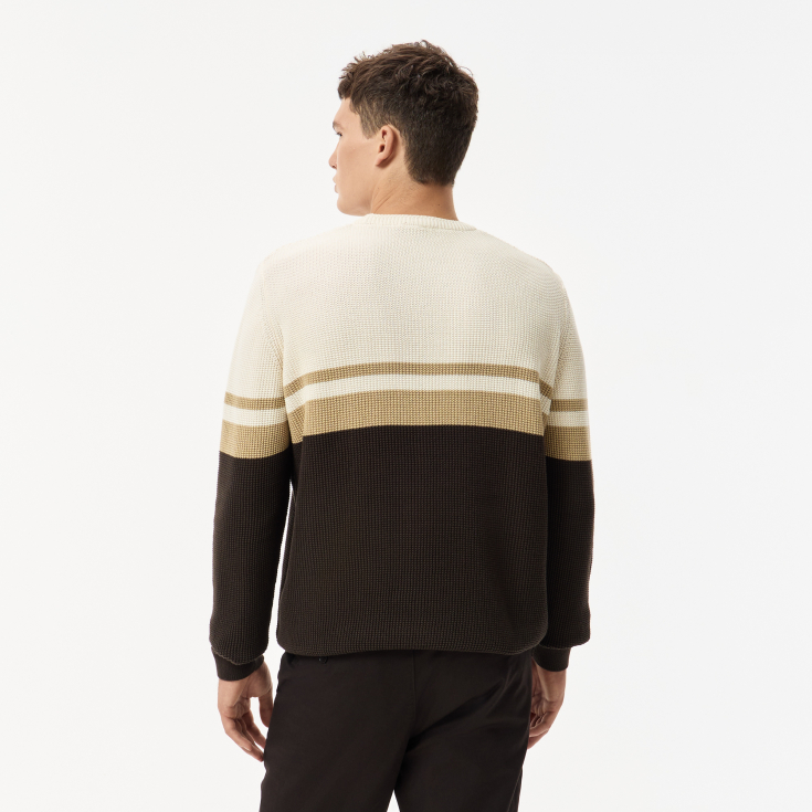 Мужской свитер Lacoste в полоску CLASSIC FIT Мужской свитер Lacoste в полоску CLASSIC FIT