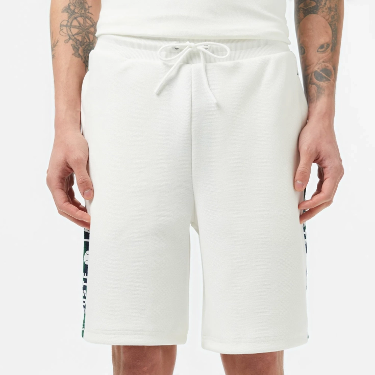 Мужские шорты Lacoste из эластичного хлопка Мужские шорты Lacoste из эластичного хлопка