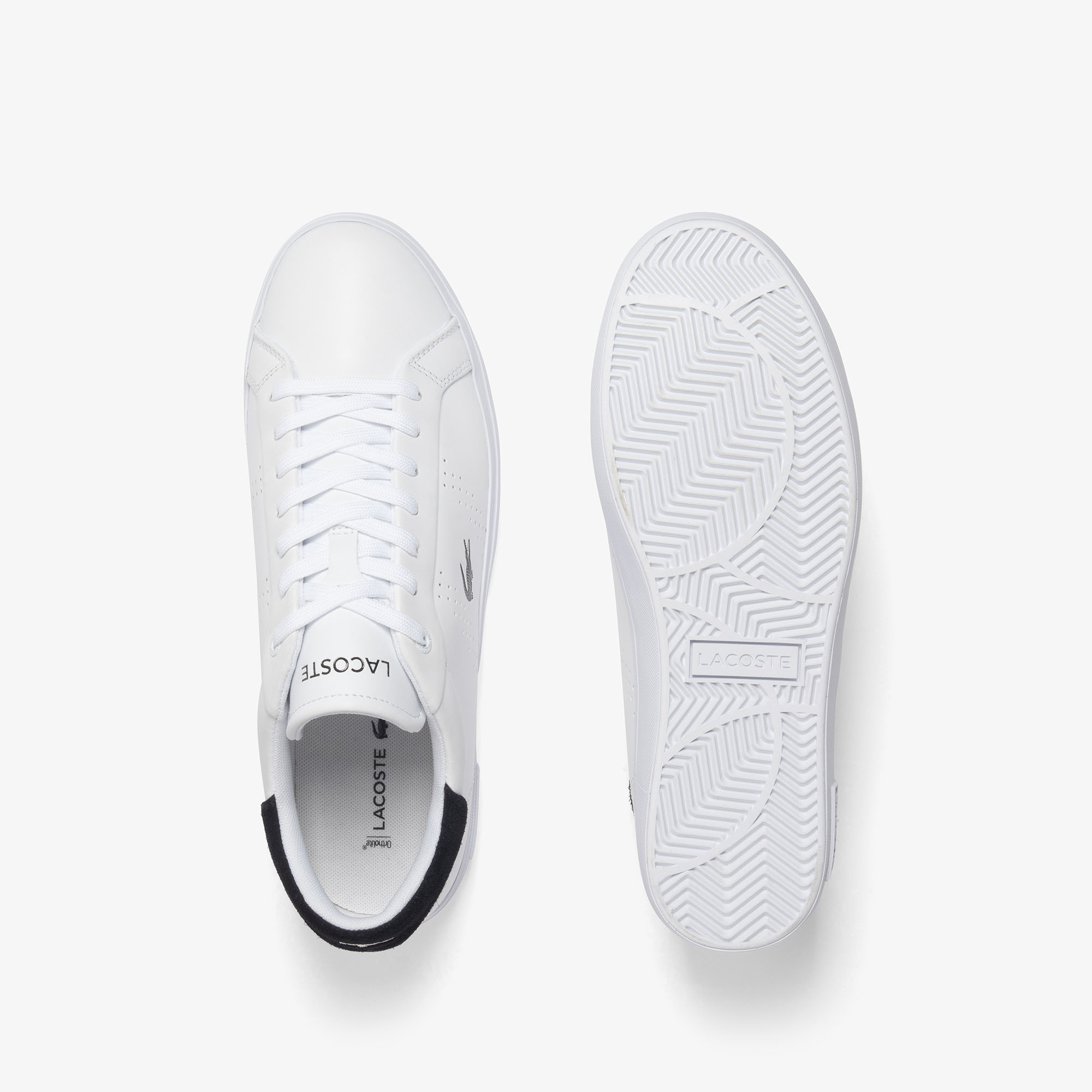 Мужские кеды Lacoste POWERCOURT 2. 225 1 SMA 750SMA0148 белый  Фото 4