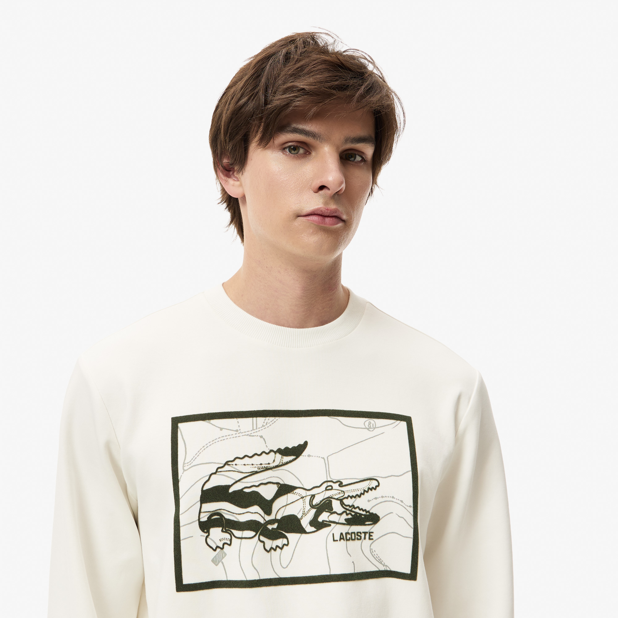 Мужской хлопковый свитшот Lacoste REGULAR FIT SH2620 молочный  Фото 3