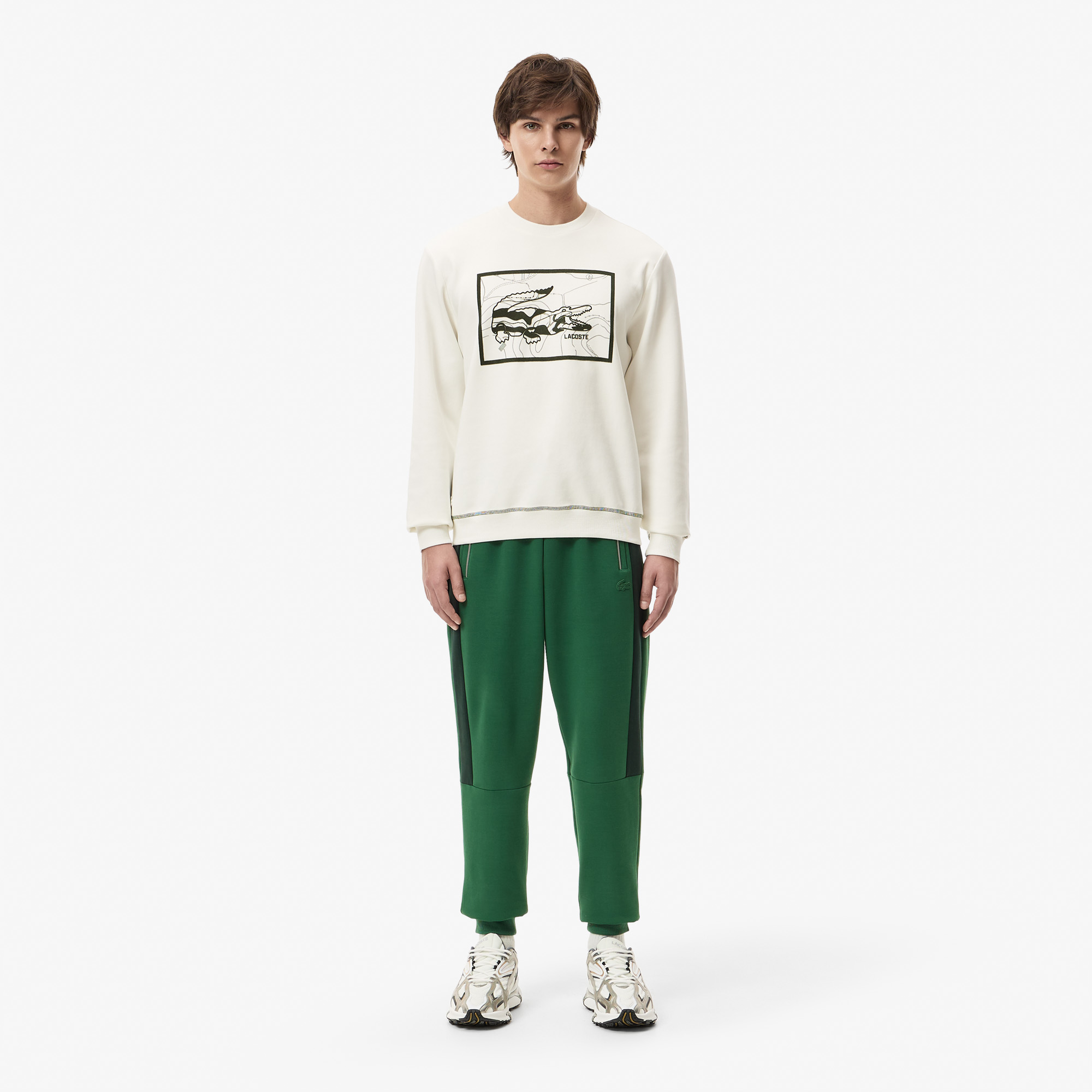 Мужской хлопковый свитшот Lacoste REGULAR FIT