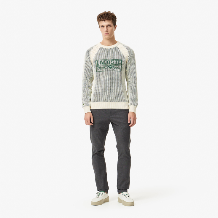 Мужской свитер Lacoste REGULAR FIT