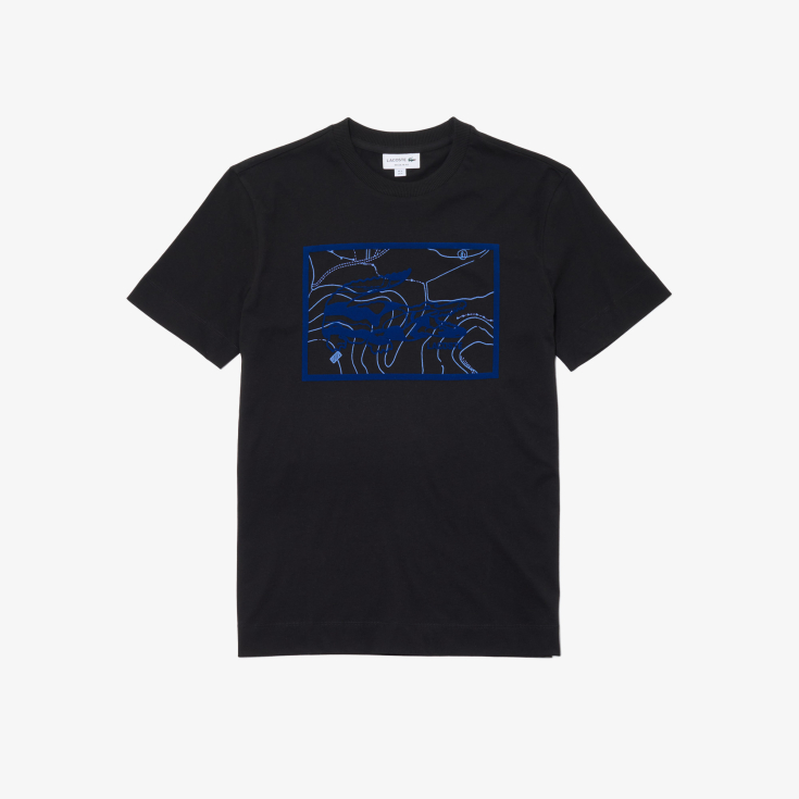 Мужская хлопковая футболка Lacoste REGULAR FIT