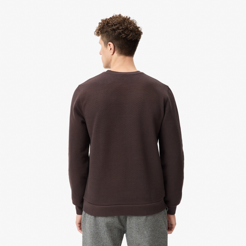 koto♡ Мужской свитшот Lacoste Regular Fit #TH2333 SKB-коричневый