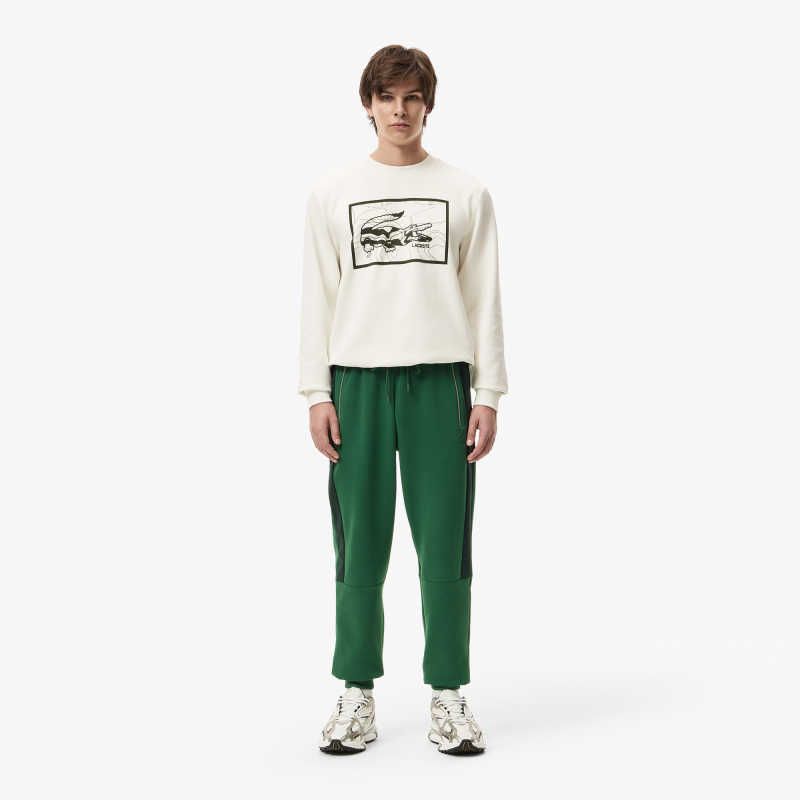 

Мужские хлопковые спортивные брюки Lacoste SLIM FIT, Зелёный