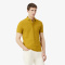 Мужское поло Lacoste