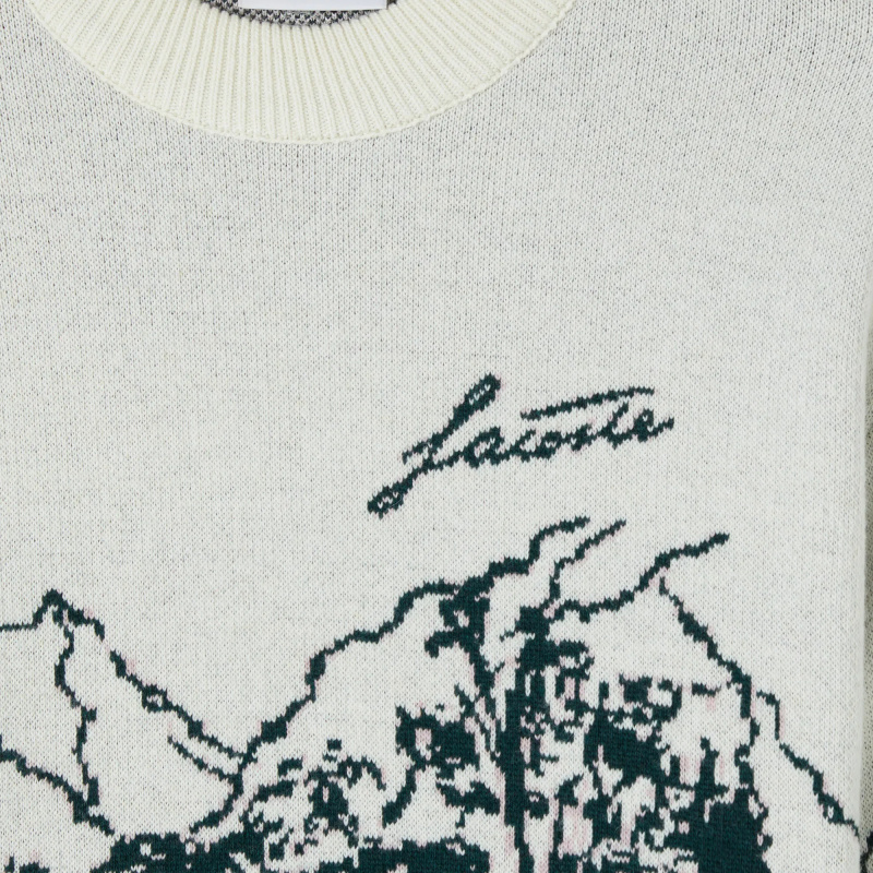 Женский свитер Lacoste с принтом свободного кроя