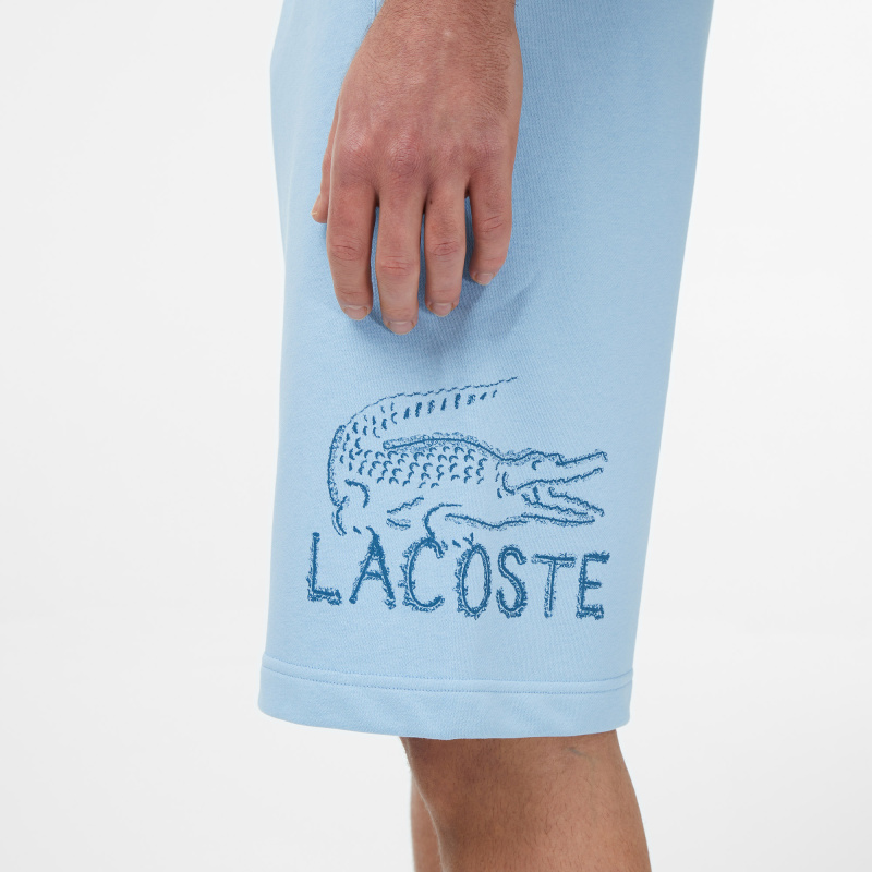 Мужские брюки Lacoste