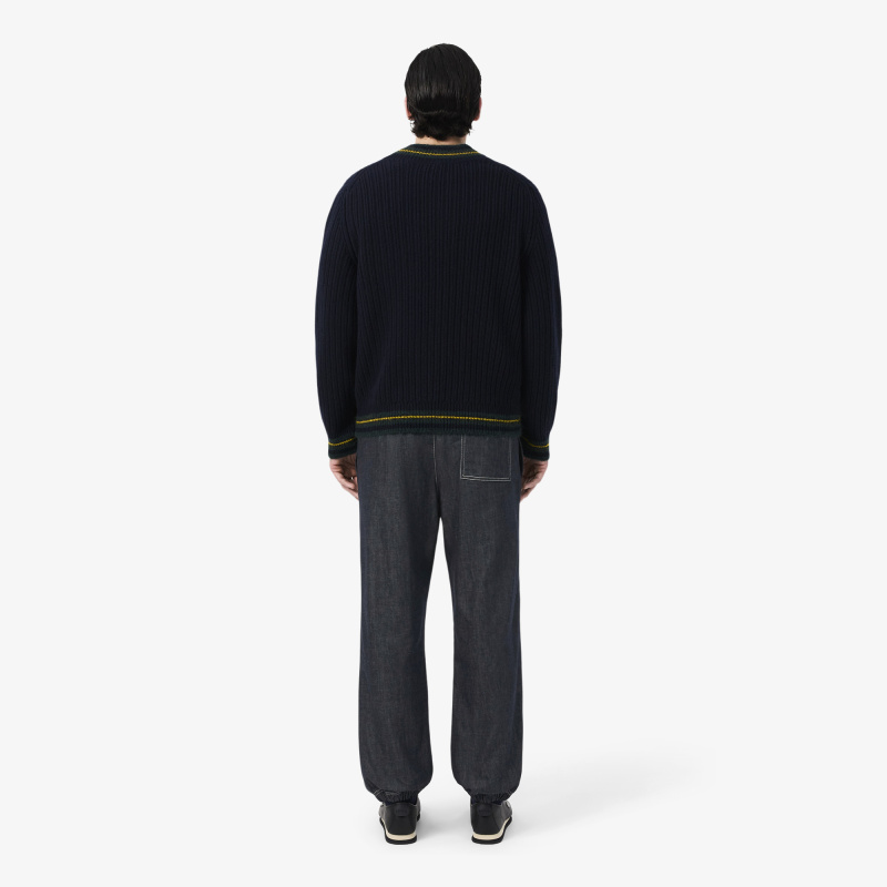 Мужские брюки Lacoste