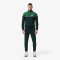 Мужские хлопковые спортивные брюки Lacoste приталенного кроя