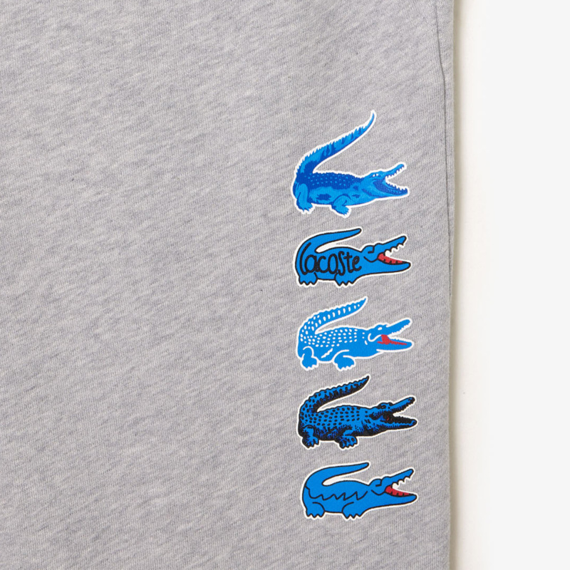 Мужские спортивные брюки Lacoste с флисом