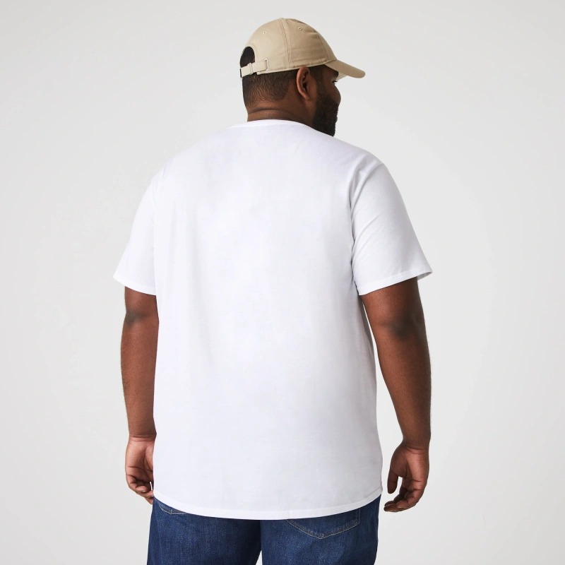 Мужская футболка Lacoste стандартного кроя