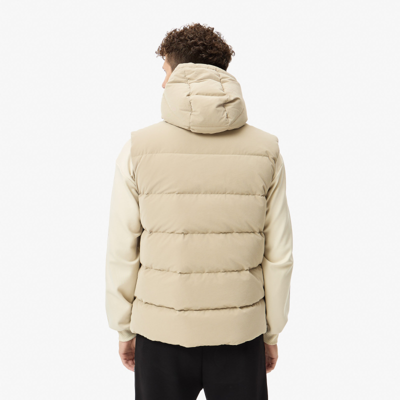 Мужской жилет Lacoste