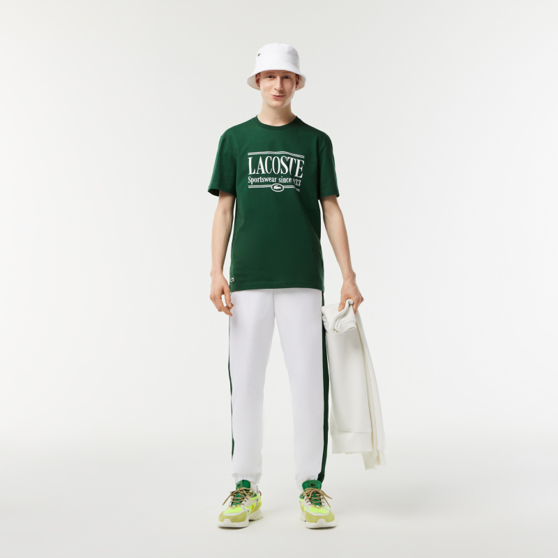 Мужская футболка Lacoste стандартного кроя