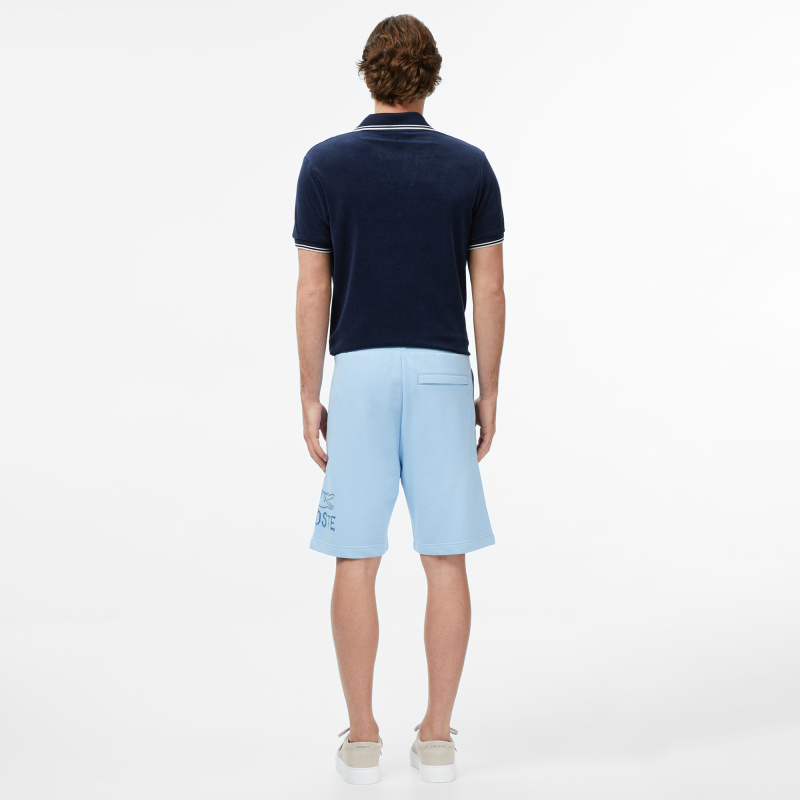 Мужские брюки Lacoste