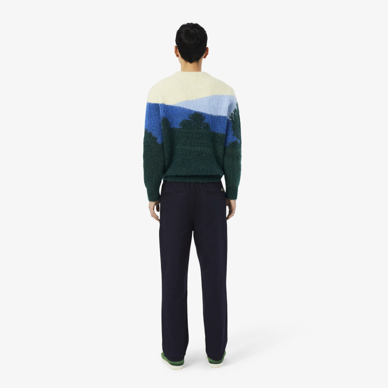 Мужские брюки Lacoste из эластичного органического хлопка