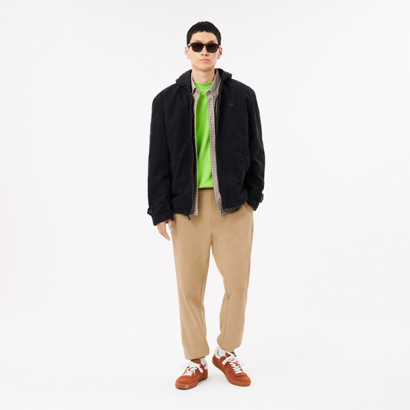 Спортивные хлопковые брюки Lacoste унисекс